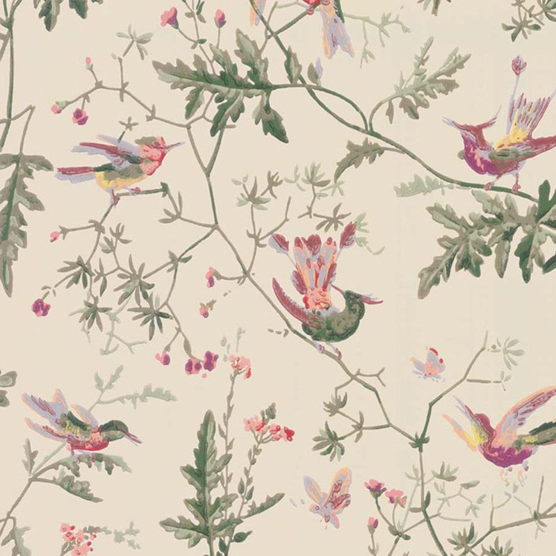 Cole and Son Hummingbirds Original Multi-Colour Wallpaper 40% Off | Samples