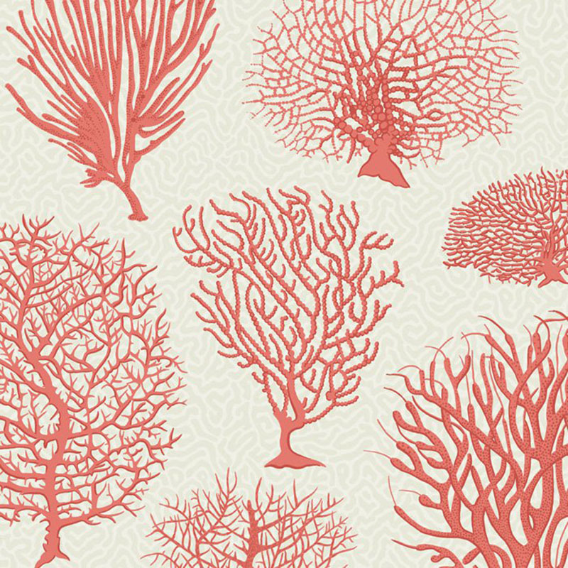 Cole and Son Seafern Coral Wallpaper (Samples)