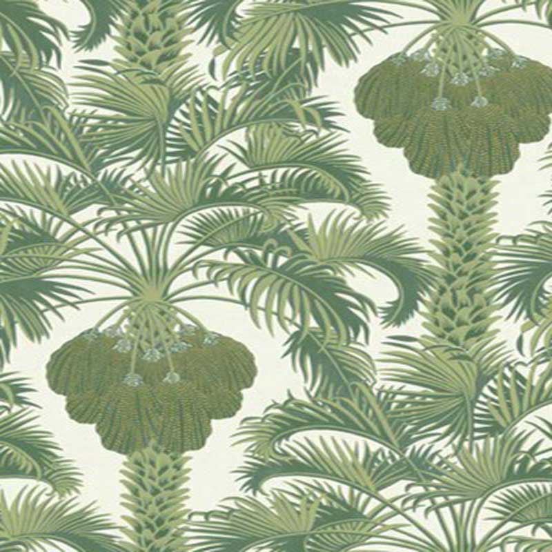 Cole and Son Hollywood Palm Leaf Green Wallpaper 40 Off Samples