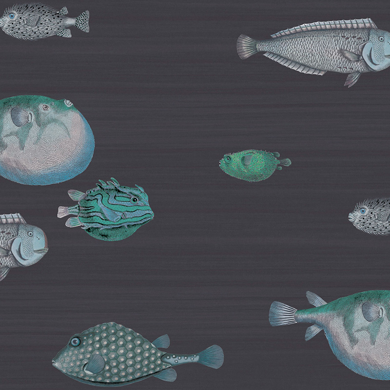 Cole and Son Acquario Ink Wallpaper 40% Off | Samples