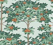 Orange Blossom by Cole  Son  Orange  Spring Green on Black  Wallpaper   Wallpaper Direct