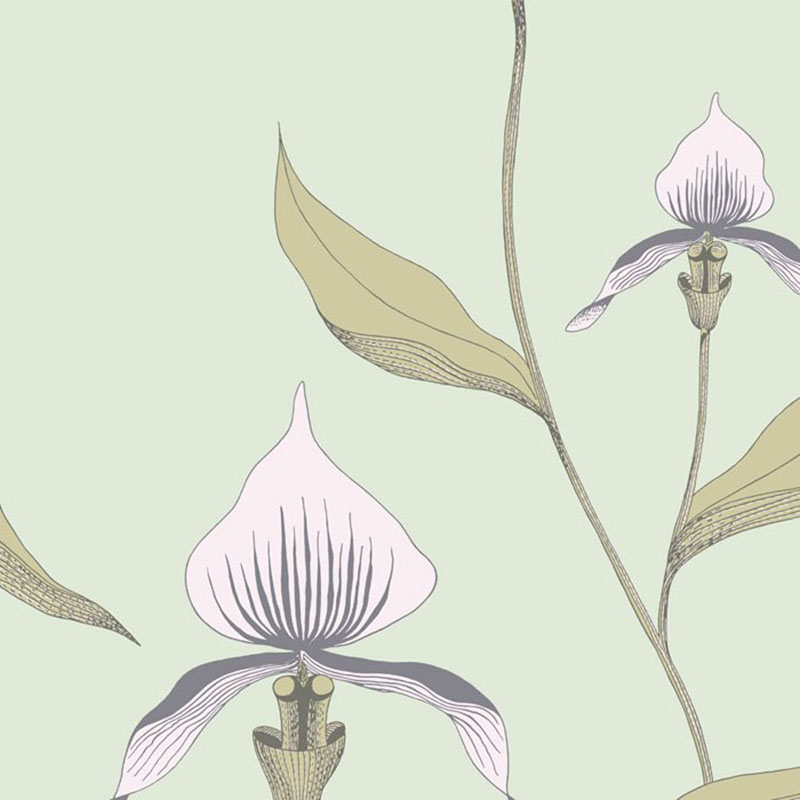 Cole and Son Orchid Pale Gr Wallpaper 40 Off Samples