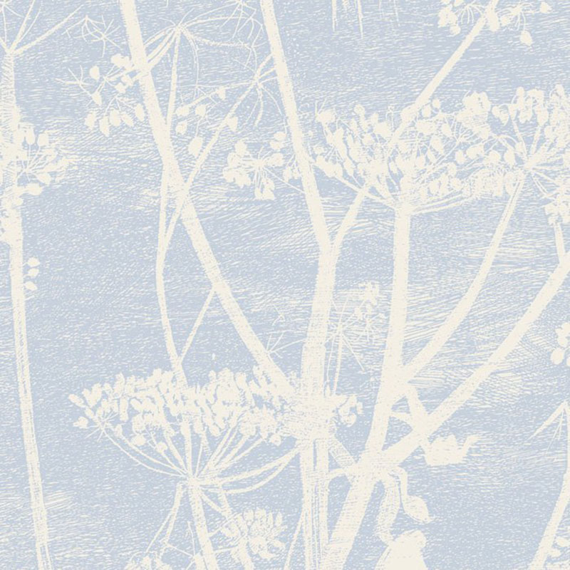 Cole and Son Cow Parsley White Blu Wallpaper 40% Off | Samples