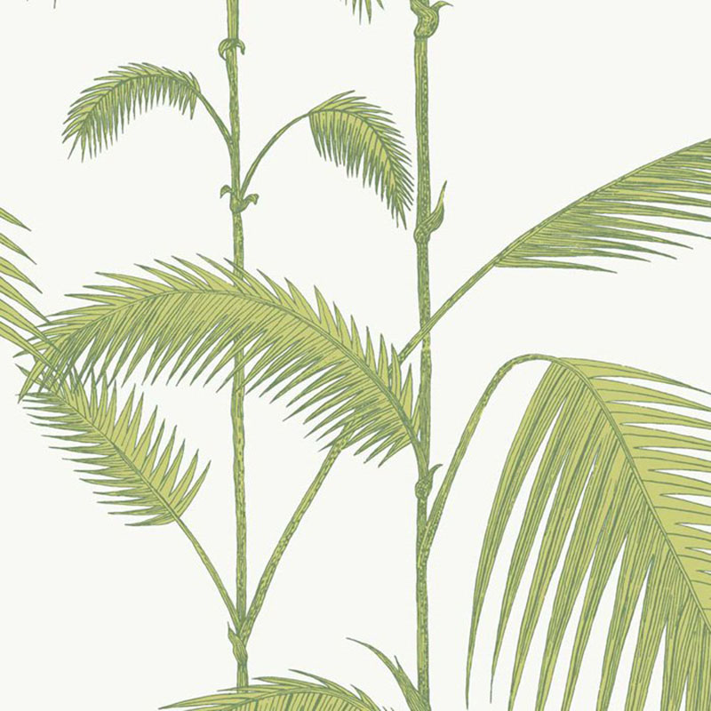 Cole and Son Palm Green White Wallpaper 40 Off Samples