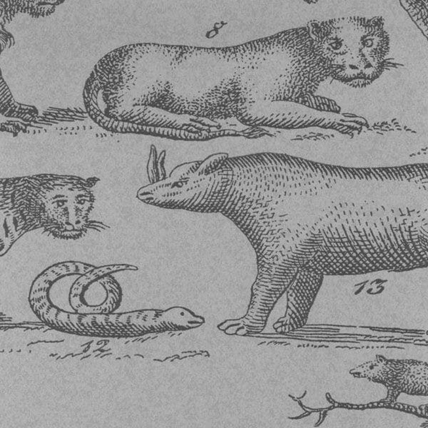 Andrew Martin Ark Cloud Wallpaper 40 Off Samples