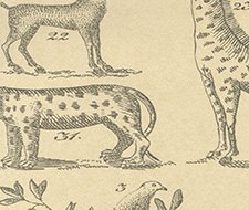 Andrew Martin Ark Sand Wallpaper 40 Off Samples