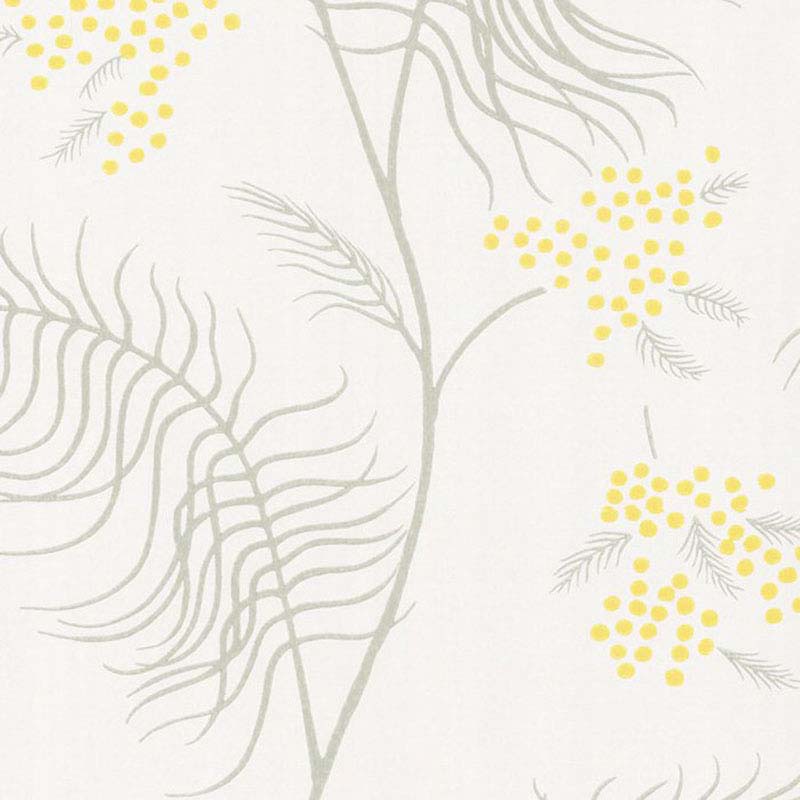 Cole and Son Mimosa White Wallpaper (Samples)