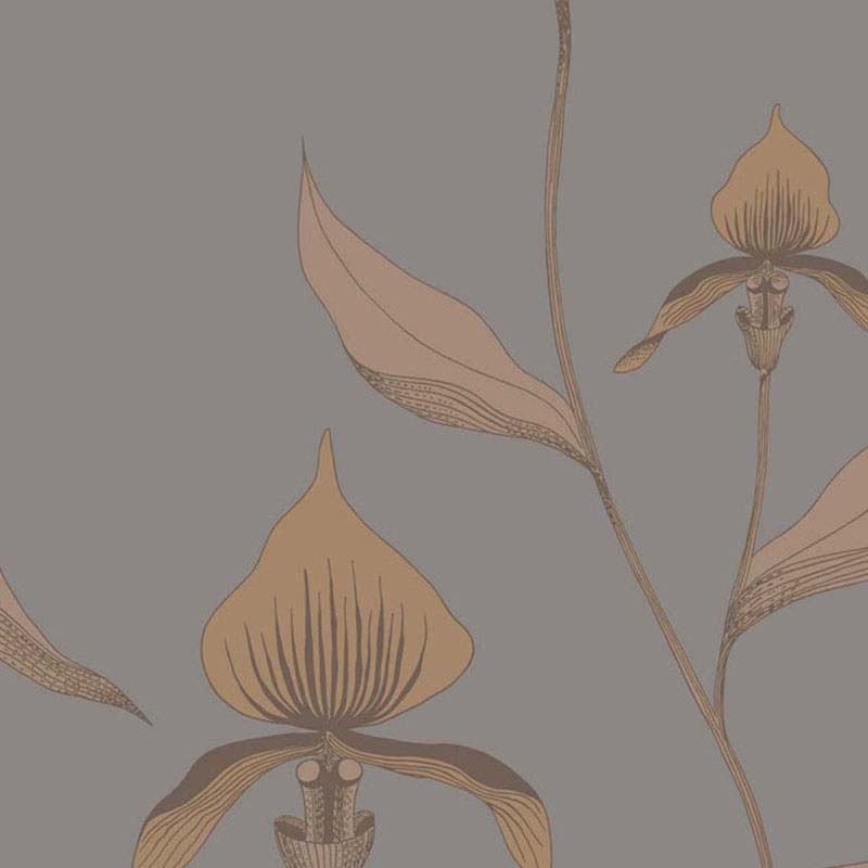 Cole and Son Orchid Bronze Slate Wallpaper (Samples)