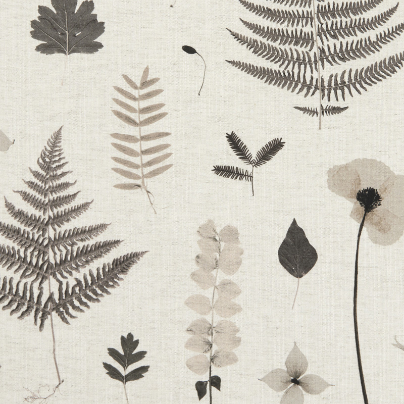 Herbarium – Tess Newall