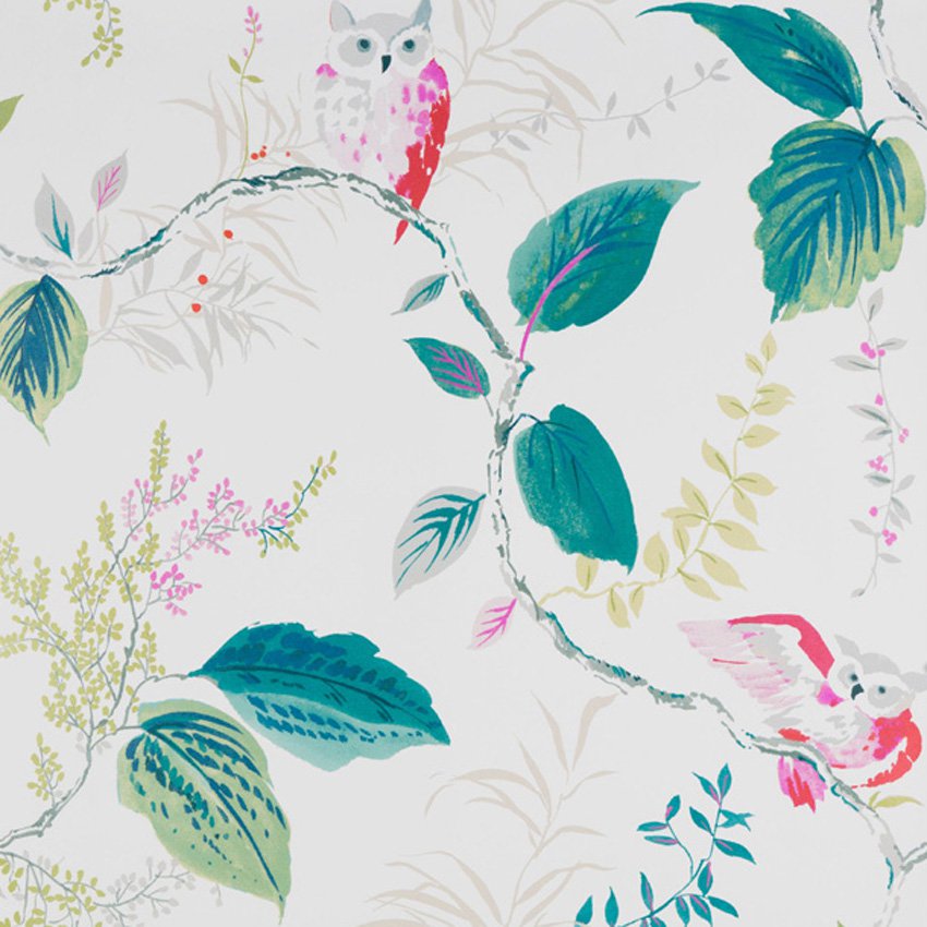 Kravet Design Owlish Multi Wallpaper 40% Off | Samples