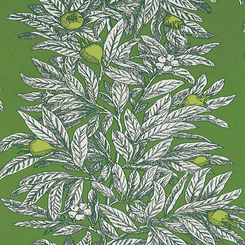 Osborne and Little Medlar 05 Wallpaper 40 Off Samples
