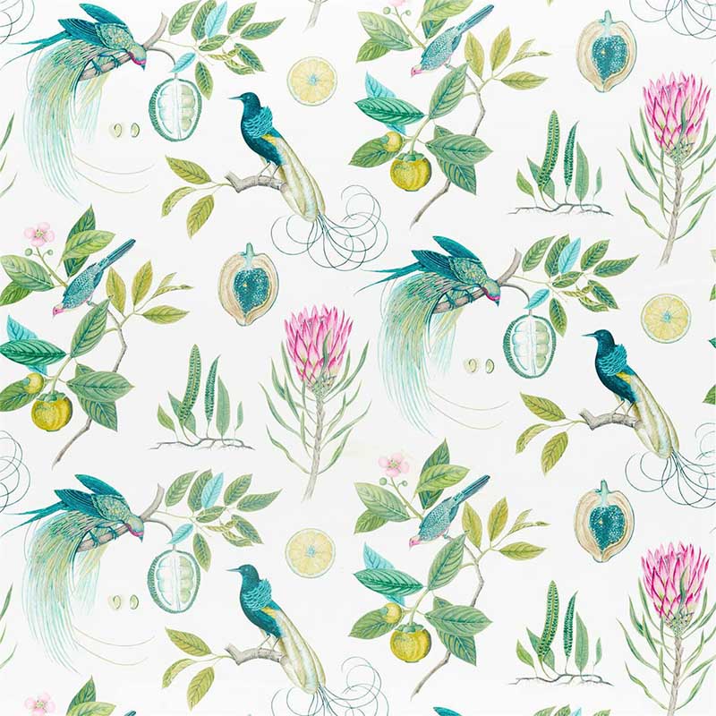 Sanderson Paradesia Botanical Green Fabric 40% Off | Samples