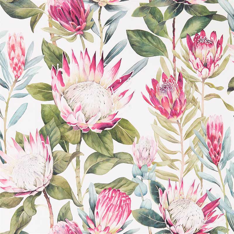 Sanderson King Protea Rhodera Cream Wallpaper 40% Off | Samples