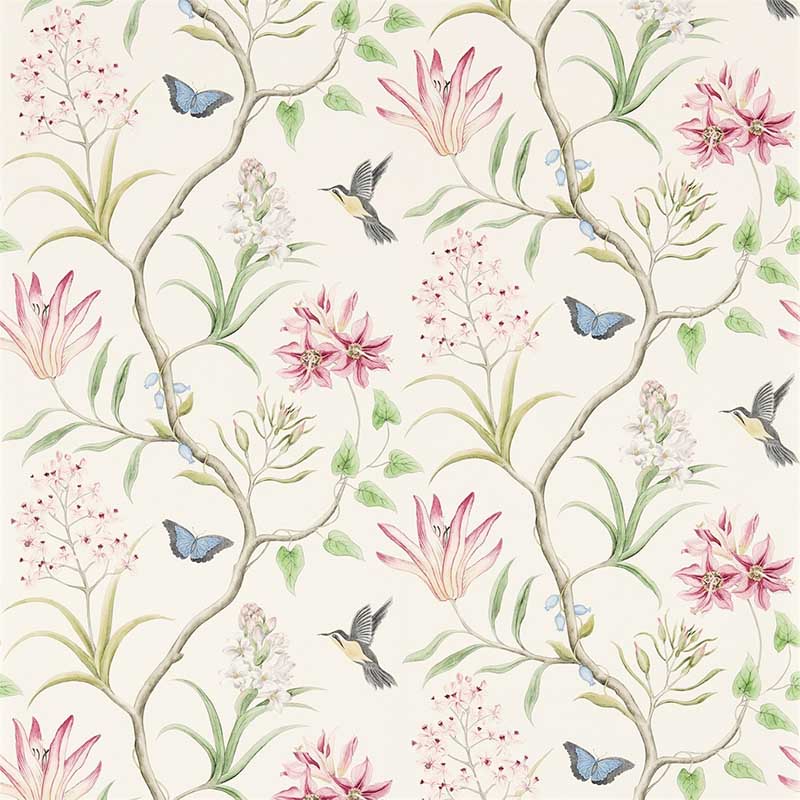 Sanderson Voyage of Discovery Wallpaper Clementine Tropical Trail 213386