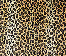 ☆ BLACK and WHITE LEOPARD - LEOPARD Fabric