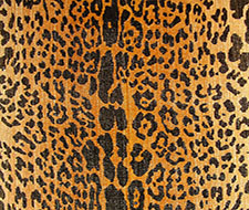 ☆ BLACK and WHITE LEOPARD - LEOPARD Fabric