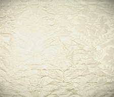 Scalamandre Love Bird Beige Fabric 40% Off | Samples