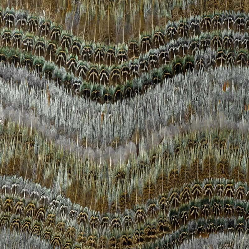 Schumacher Clearwater Blue Heron Wallpaper 40 Off Samples