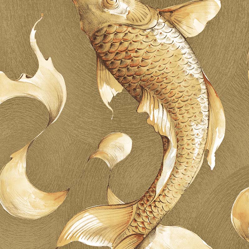 koi fish wallpaper for walls