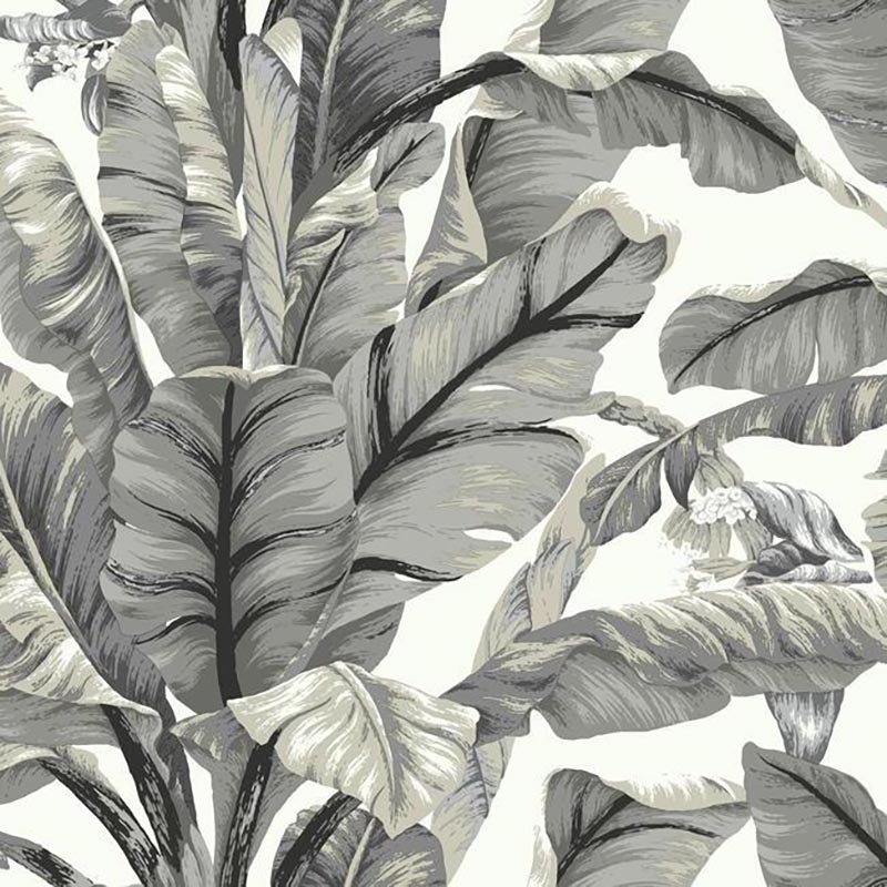 York Banana Leaf White Black Peel And Stick Wallpaper 40% Off | Samples
